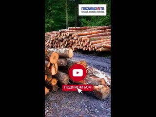 ГЛОНАСС будут оборудованы лесовозы, лесозаготовительная и лесопожарная техника