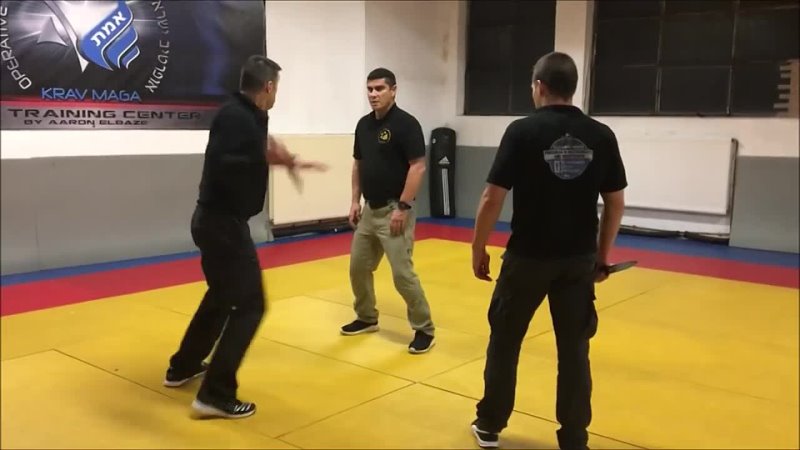 Krav Maga Training