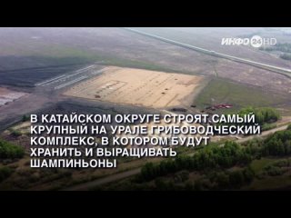В Катайском округе строят самый крупный на Урале грибоводческий комплекс. (2024-01-31)