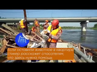 Безопасность домашних животных при наводнении.mp4