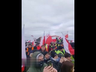Протестующие польские фермеры: Варшава должна действовать в интересах своих граждан, а не ЕС!