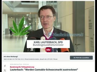 CANNABIS WIRD IN DEUTSCHLAND TEILWEISE LEGAL - AB DEM 1. APRIL