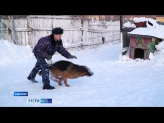 Барнаульских школьников учат не бояться собак.