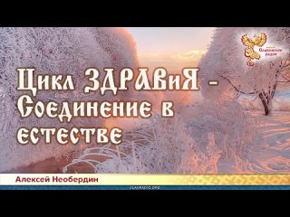 Алексей Необердин  Цикл ЗДРАВиЯ - Соединение в естестве