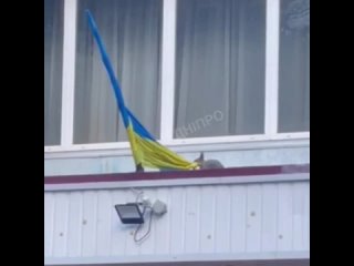 Агент “Белкин“. Белка срывает украинский флаг со здания.