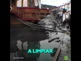 Invasión de medusas en la bahía de Balaklava, Crimea