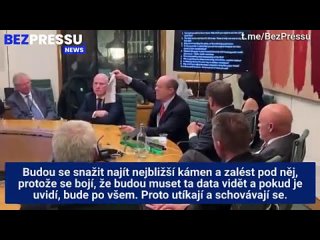 Steve Kirsch - britský parlament