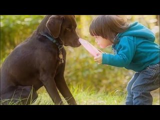 День домашних животных