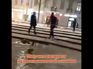 В Москве мигрант-шаурмичник из Таджикистана пытался зарезать мужчину тесаком, а в Коломне мигрант пырнул ножом двух мужчин