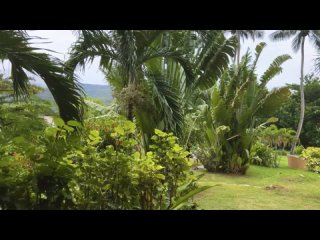 Инфинити - Такая красивая (travel video, Сейшелы 2022-2024) []