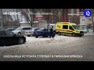 Школьница устроила стрельбу в гимназии Брянска