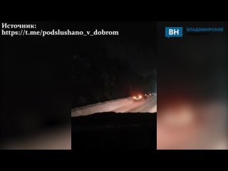 Во Владимирской области водитель сбил насмерть лося