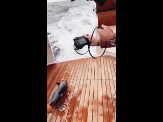 Рыбалка и Охота