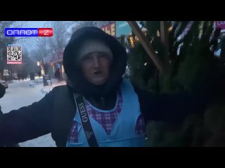 ️В Пролетарском районе Донецка открылся елочный базар