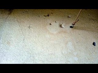 [SerKos] Как сверлить бетон в домашних условиях с помощью дрели.