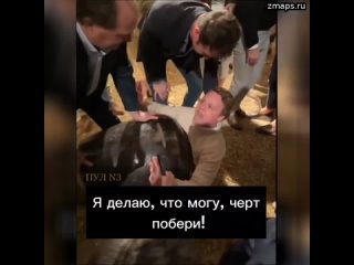 Я делаю, что могу! - Давай, тянись! У тебя получится! - Я застрял!: Ремейк Винни-Пуха, документаль