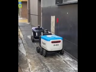 Как разъезжаться будем Роботы-доставщики не поделили тротуар на улице Москвы
