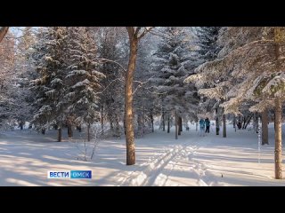 Омский дендропарк имени Комиссарова приглашает на лыжные экскурсии