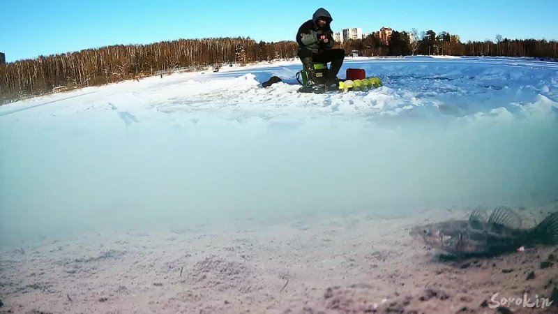 РЫБАЛКА НА СОСИСКУ Подводная