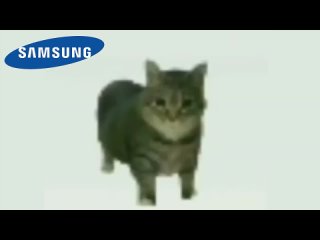 [Bukaka Meme] OIIAOIIA CAT but famous phone ringtones