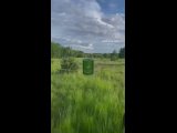 Видео от Частная конюшня "Лошади в лесу" | Егорьевск