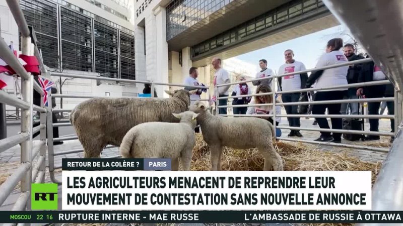 Europe : les agriculteurs continuent de