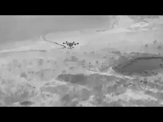 Российские дроны-разведчики атакуют украинские беспилотники