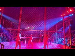 Видео от Тобольск, встречай! Цирк «Крокус» со Звёздами