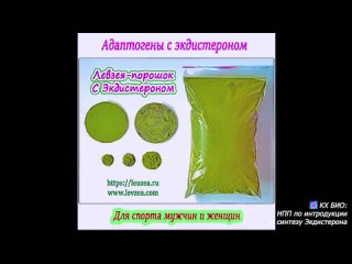 Экдистерон 5000 мг – Адаптоген левзея порошок + Экдистерон 47000 мг