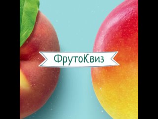 ФрутоКвиз от «ФрутоНяни»