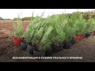 Коллеги из Департамента цифрового развития подготовили видео-презентацию ведомственной информационной системы «Зелёный фонд»