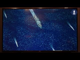 #СВО_Медиа #Военный_ОсведомительПредложения по безэкипажным ударным надводным кораблям по концепции верного ведомого в видеор