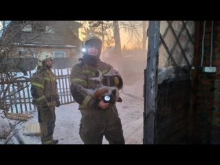 🐈 Омские пожарные вынесли кота из горящего дома

В садовом товариществе «Связист-3» произошёл пожар.