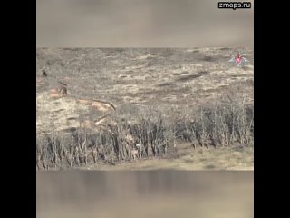 Птички «крылатой пехоты»: расчеты FPV-дронов ВДВ уничтожили подразделение ВСУ в укрытии под Артемовс