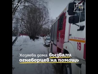 В Гусь-Хрустальном пожарные откачали кошку Няшу.mp4