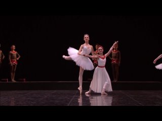 Tercentenary of the French Dance School, Paris Opera Ballet (2013)