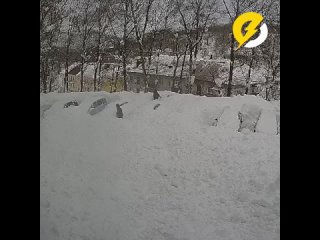 На Сахалине женщина, которая пыталась откопать машину, оказалась в снежной ловушке