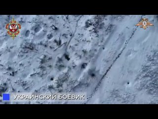 📹Ликвидация боевиков ВСУ с воздуха дронами 58 обСпН

58 обСпН 1 Донецкого армейского корпуса качественно уничтожает живую силу п