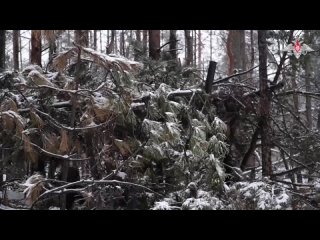 💥  Минометчики ЦВО сорвали подвоз боеприпасов войскам ВСУ в Серебрянском лесничестве

Расчеты автоматических 82-мм минометов «В