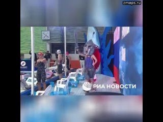 В Петербурге в рамках Кубка Сальникова по плаванию проходит конкурс костюмов: спортсмены могут выйти