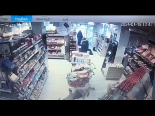 В Люберцах пёс украл лаваш из магазина и ловко скрылся  Хвостатый преступник!)))