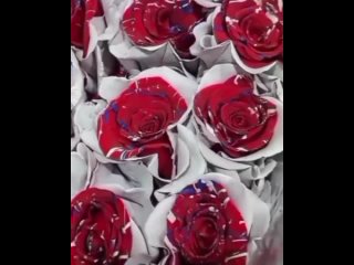 Крашеные розы Эквадора, 75 см.mp4