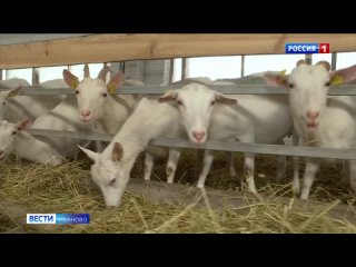 Съезд фермеров Ивановской области прошел в областном центре
