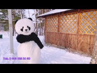 Панда ! Ростовые куклы Ордынское ! Панда ростовая кукла