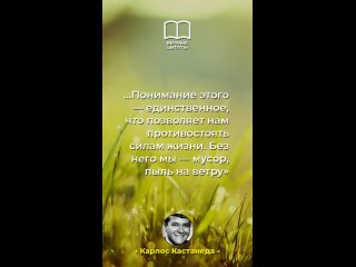 Ослепительная сила мыслей: Как преодолеть негатив и стать непобедимым