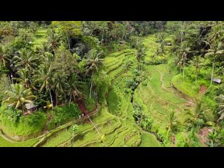 Alina Vavilova Самые красивые места Бали | Топ мест на Бали