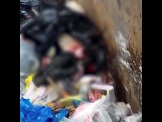 Истекающую кровью собаку, завернутую в пакет, нашли в мусорном баке посёлка Лосево