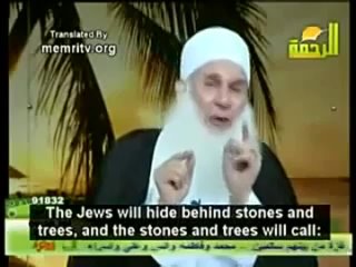 Egyptian cleric Muhammad Hussein Yaqub on Jews