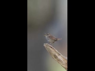 Такая планета🌍