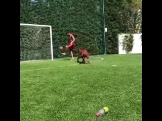 Месси поиграл в футбол с собакой, продолжает традиции Роналдиньо